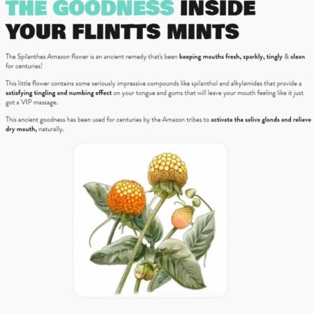 Flintts Mints Mouth Watering Oral Delights - Strawberry Magic (F Strength 225) - 28-30 per tin